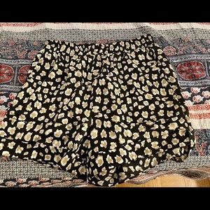 Leopard shorts! Local boutique worn 1x!